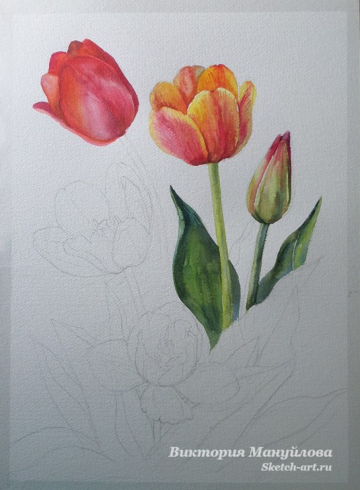 Как нарисовать тюльпан поэтапно карандашом: детские и профессиональные рисунки символа весны